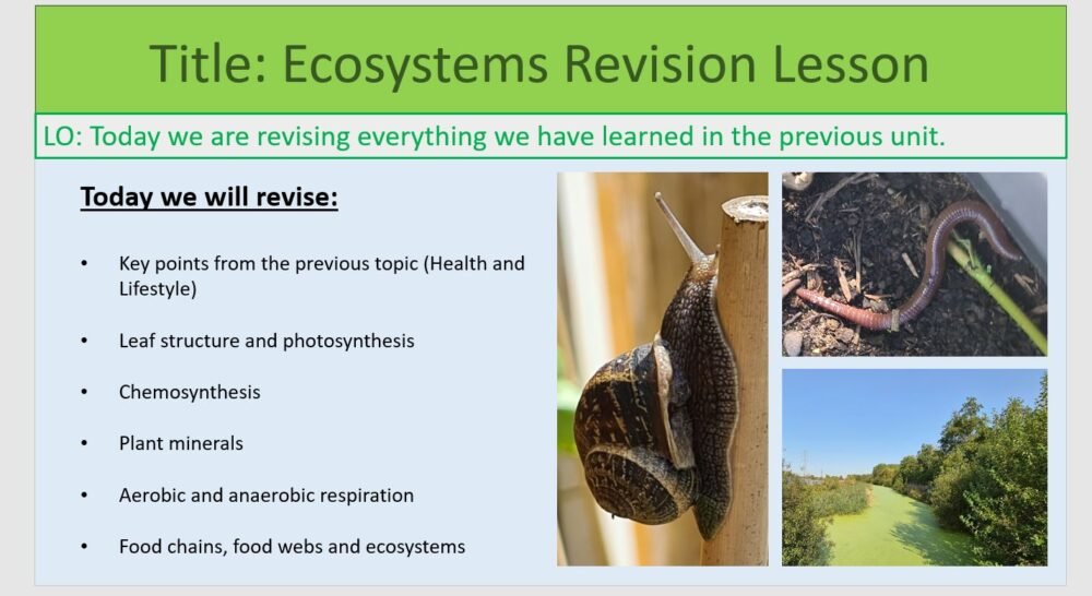 Year-8 Biology Ecosystems: End of Topic Revision Lesson Objectives