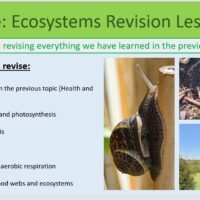 Year-8 Biology Ecosystems: End of Topic Revision Lesson Objectives