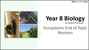 Year-8 Biology Ecosystems End of Topic Revision Lesson Objectives Title