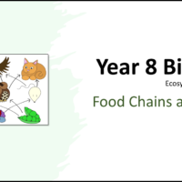 Year-8 Biology Ecosystems Food Chains and Webs Title