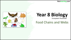 Year-8 Biology Ecosystems Food Chains and Webs Title Year-8 Biology Ecosystems Food Chains and Webs Title