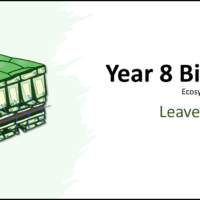 Year-8 Biology Ecosystems Leaves Title