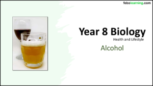 Year-8 Biology Health and Lifestyle Alcohol Title