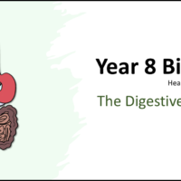 Year-8 Biology Health and Lifestyle Digestive System Title