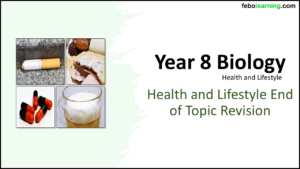 Link to next lesson: End of Topic Revision