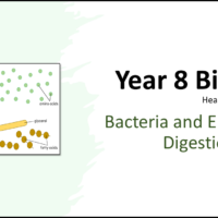 Year-8 Biology Health and Lifestyle Enzymes in Digestion Title