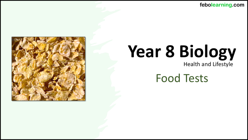Year-8 Biology Health and Lifestyle Food Tests Title