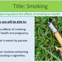 Year-8 Biology Health and Lifestyle Smoking Lesson Objectives
