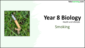 Year-8 Biology Health and Lifestyle Smoking Title